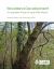 Woodland Development : A Long Term Study of Lady Park Wood