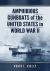 American Amphibious Gunboats in World War II : A History of LCI Ships in the Pacific