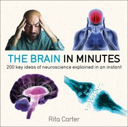 The Brain in Minutes : 200 Key Ideas of Neuroscience Explained in an Instant