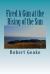 Fired a Gun at the Rising of the Sun : The Diary of Noah Robinson of Attleborough in the Revolutionary War