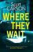 Where They Wait : The Most Compulsive and Creepy Psychological Thriller Of 2021