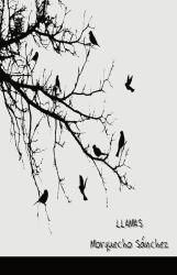 Dylan and His Magical Robot Dyslexic Font