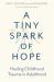 A Tiny Spark of Hope : Healing Childhood Trauma in Adulthood