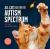 All Cats Are on the Autism Spectrum : An Affirming Introduction to Autism