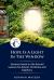 Hope Is a Light in the Window : Cycle C Sermons Based on the Second Lessons for Advent, Christmas, and Epiphany