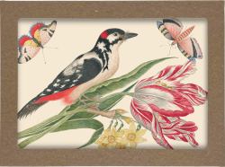 Smithsonian Birds and Flowers Notecard Set : 8 Blank Notecards of 4 Designs and Envelopes