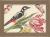 Smithsonian Birds and Flowers Notecard Set : 8 Blank Notecards of 4 Designs and Envelopes