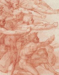 Michelangelo : Divine Draftsman and Designer