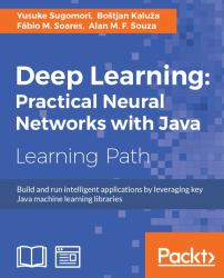 Deep Learning: Practical Neural Networks with Java : Build and Run Intelligent Applications by Leveraging Key Java Machine Learning Libraries