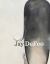 Jay Defeo