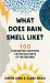 What Does Rain Smell Like? : 100 Fascinating Questions on the Wild Ways of the Weather