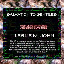 Salvation to Gentiles : Wild Olive Branches and Good Olive Tree