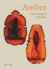 Amber : From Antiquity to Eternity Amber : From Antiquity to Eternity