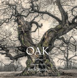 Oak : From Seed to Ancient Tree