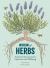 Wisdom of Herbs : Essential Life Lessons for Inspiration and Wellbeing