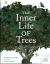 The Inner Life of Trees : Secrets Revealed with Illustrated Overlays