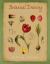 Botanical Drawing : A Beginner's Guide Botanical Drawing : A Beginner's Guide