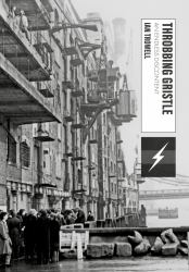 An Endless Discontent : Throbbing Gristle, Punk, Provocation