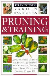 Pruning and Training