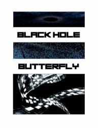 Black Hole Butterfly
