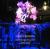 Opera Povera: Dramaturgy of Cycle II 2015-2017