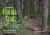 Discovering the Florida Trail : A Photographic Journey along the Florida National Scenic Trail