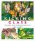 Kicking Glass : A Creative Guide to Stained Glass Craft