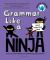 Grammar Like a Ninja : The Ultimate Grammar Toolkit for Parents and Teachers