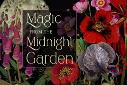 Magic from the Midnight Garden : Dark Beauty, Mystery, and Wisdom (36 Full-Color, Gilt-Edged Cards)