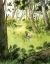 Clover : A Picture Book