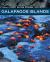 The Galapagos Islands : A Unique Ecosystem