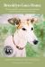 Brooklyn Goes Home : The Rise and Fall of American Greyhound Racing and the Dog That Inspired a Movement