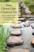 From Chinese Chan to Japanese Zen : A Remarkable Century of Transmission and Transformation
