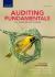 Auditing Fundamentals in a South African Context