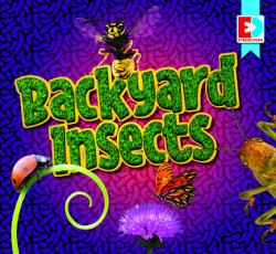 Backyard Insects