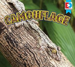 Camouflage