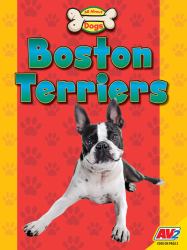 Boston Terriers