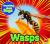 Wasps (New Title)