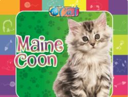 Maine Coon