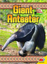 Giant Anteater