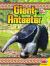 Giant Anteater