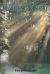 He Walks in Victory ... Child of Light