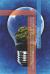 Renewable Energy Transition : Strategies for Sustainable Systems, Clean Energy Policy, and Global Solutions