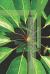 Nature-Based Solutions and Circular Design : Regenerative Strategies for Climate, Biodiversity, and Resilient Systems