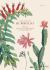 Alexander Von Humboldt : The Botanical Exploration of the Americas