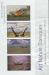 Art Nature Dialogues : Interviews with Environmental Artists