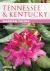 Tennessee and Kentucky Garden Guide : The Best Plants for a Tennessee or Kentucky Garden