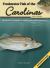 Freshwater Fish of the Carolinas Field Guide