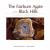 The Fairburn Agate of the Black Hills : 100 Unique Storied Agates