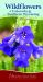 Wildflowers of Colorado and Southern Wyoming